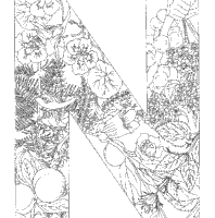 Plant alphabet letter n coloring pages