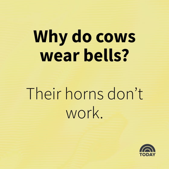 Corny jokes that kids and adults will find funny