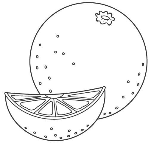 Imagenes para colorear naranja coloriage fruits coloriage fruits et lãgumes