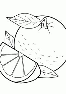 Orange fruits coloring pages for kids printable free naranja dibujo frutas para colorear pãginas para colorear para imprimir
