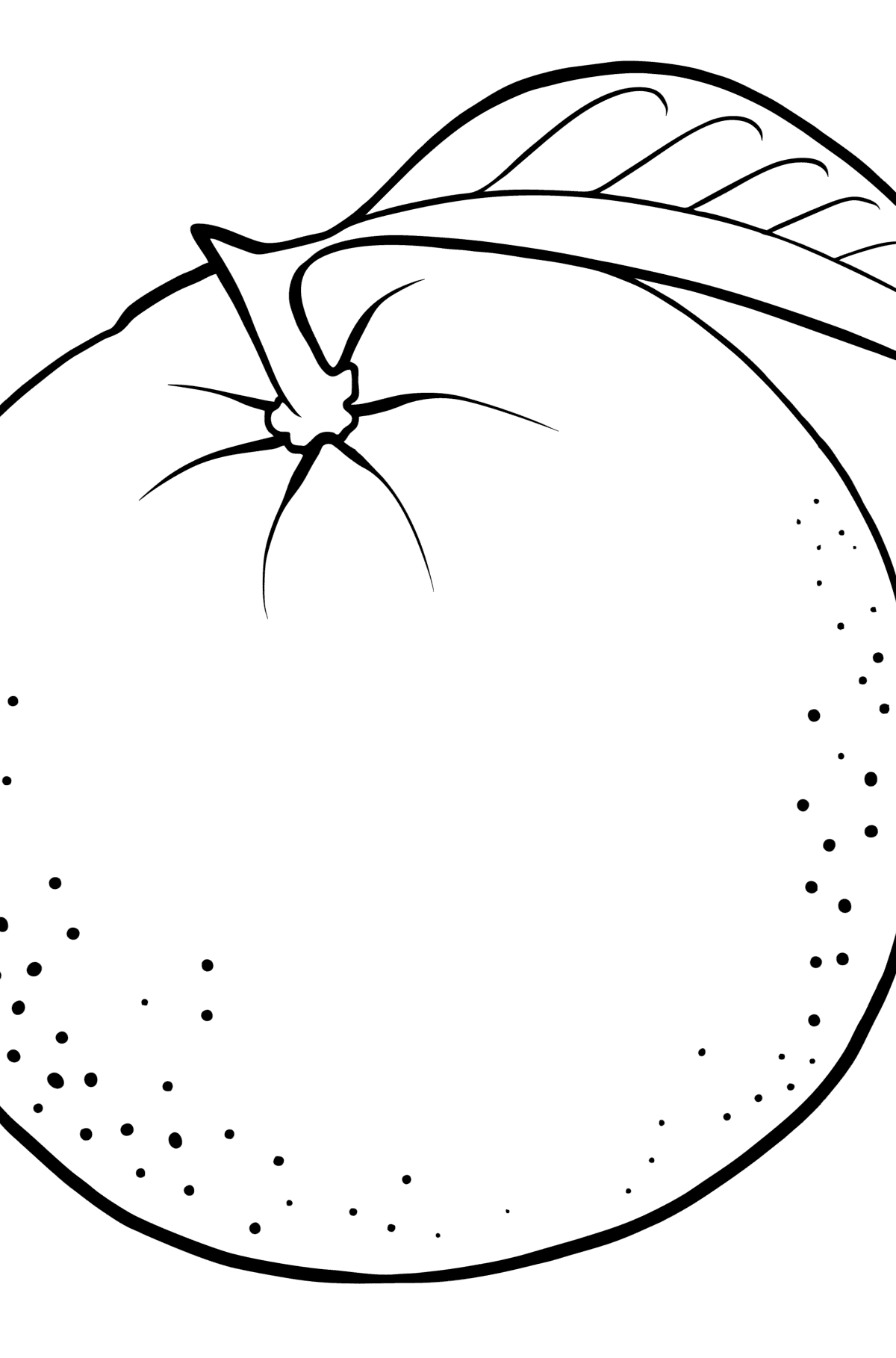 Coloring page orange for kids