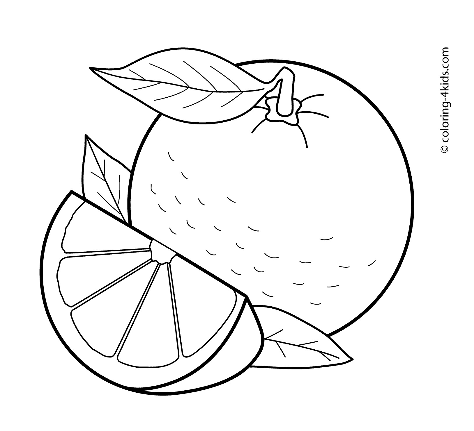 Orange fruits coloring pages for kids printable free naranja dibujo frutas para colorear pãginas para colorear para imprimir