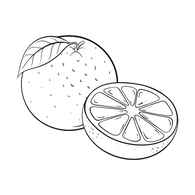 Imãgen de naranja colorear