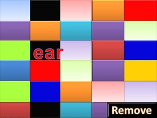 Body parts hidden pictures game ppt