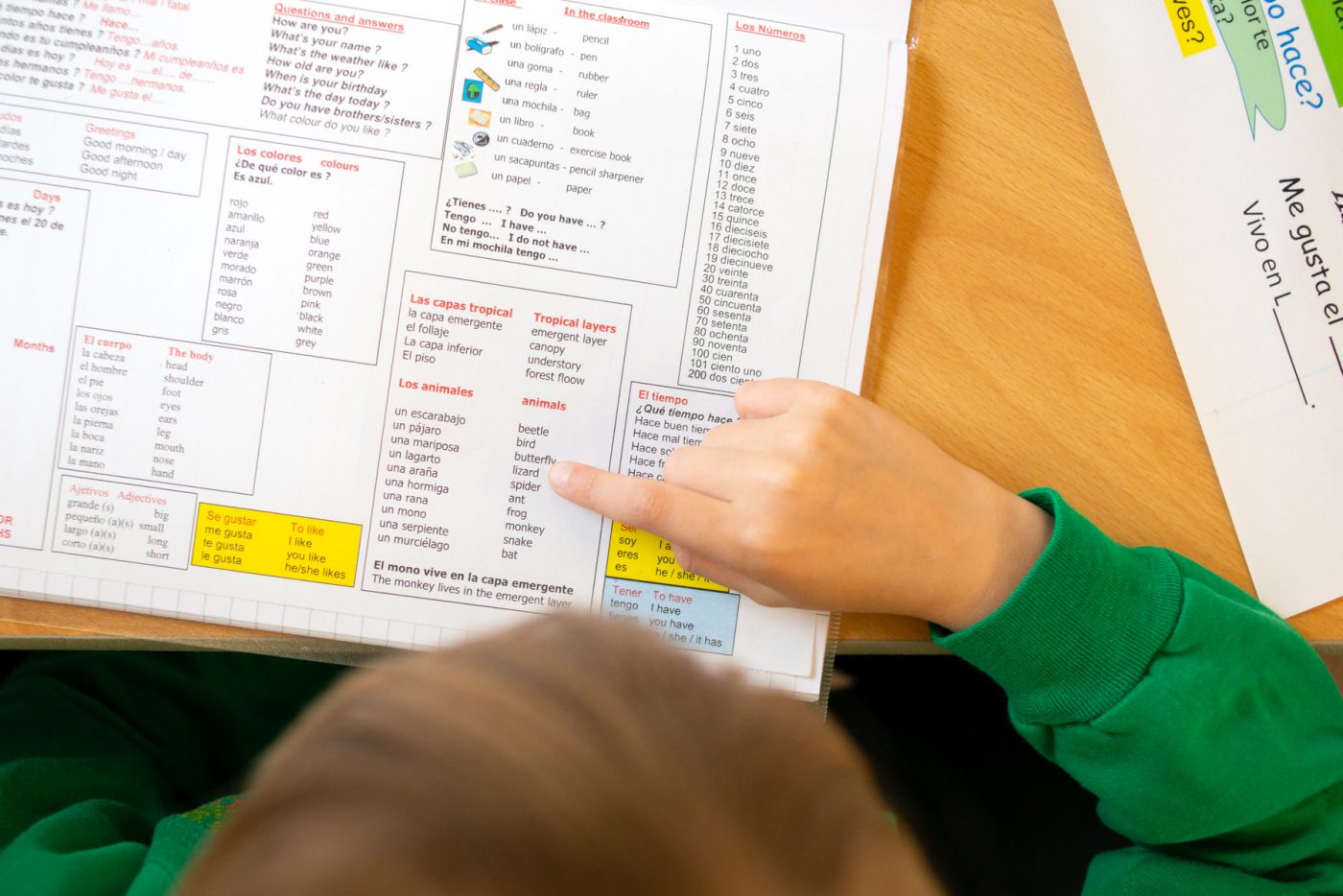 Primary ool governor newsletters