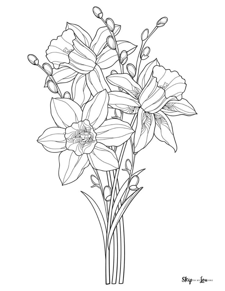 Spring coloring pages flower coloring pages daffodil tattoo spring coloring pages