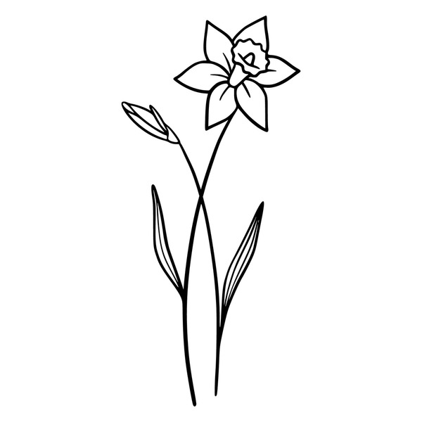 Daffodil tattoo royalty