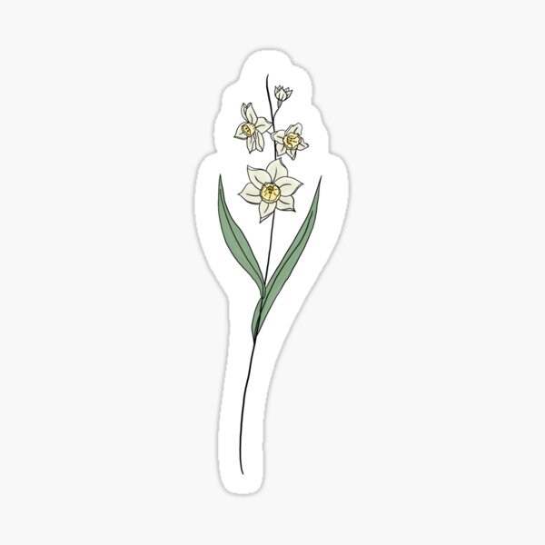 December birth month flower narcissus color sticker for sale by ekwdesigns