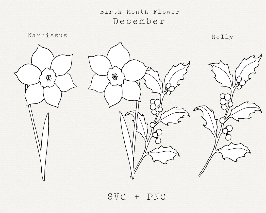 Holly svg narcissus flower svg december birth month flowers december birthday flowers clip art floral line art flower outline cut file