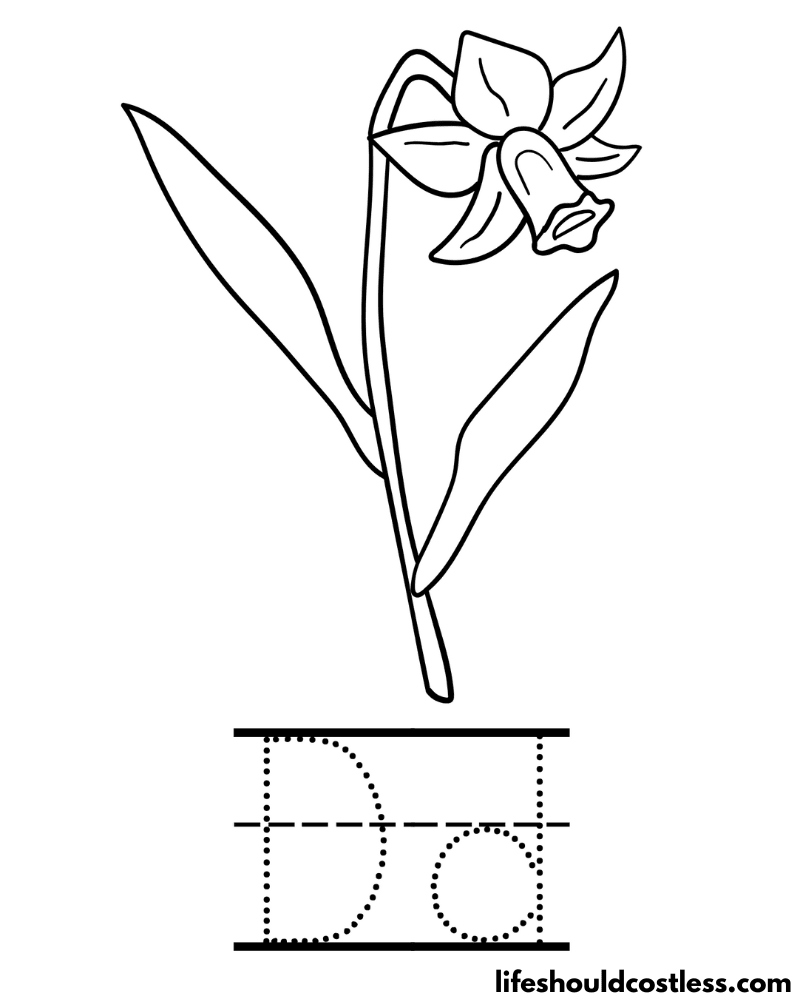 Daffodil coloring pages free printable pdf templates