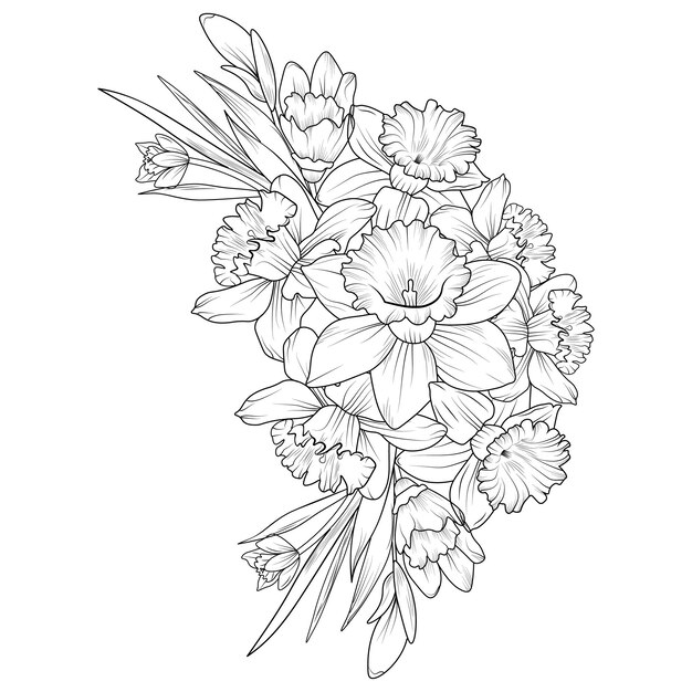 Premium vector illustration sketch contour bouquet of daffodil flowers hand drawn blossom narcissus coloring page