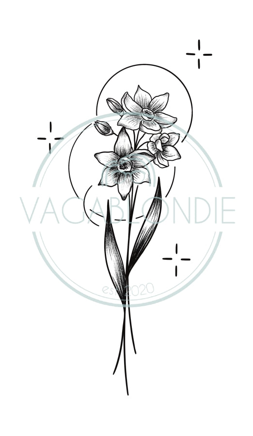 December birth flower
