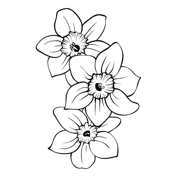 Free narcissus flower tattoo design vector file
