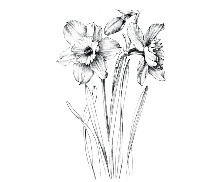 Pin on coloring pages
