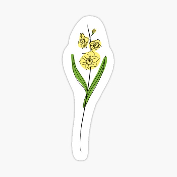 December flower narcissus color sticker for sale by ekwdesigns
