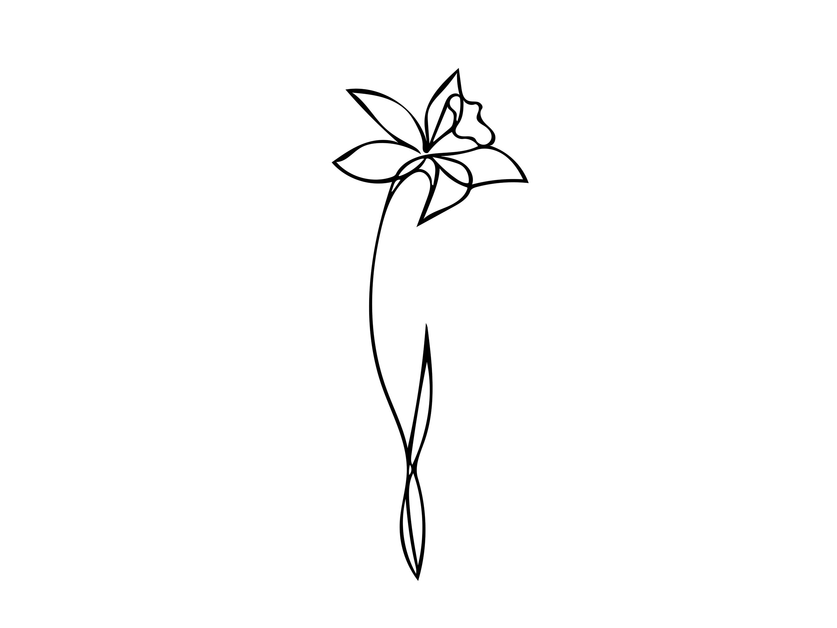 Narcissus tattoo