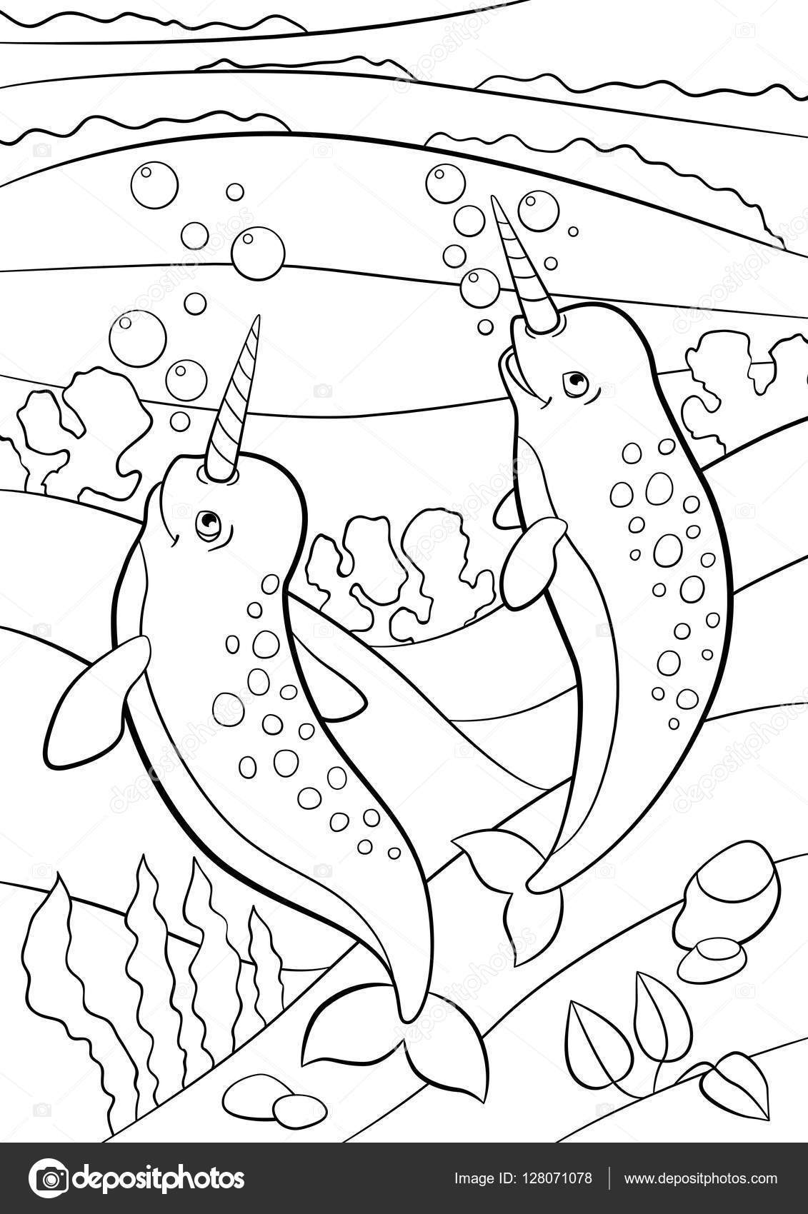 Coloring pages two little cute narwhals swim underwater stock vector by ya