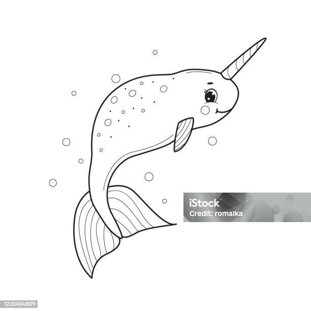 Narwhal for coloring bookline art design for kids coloring page stock illustration