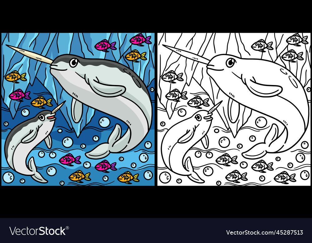 Narwhal coloring page colored royalty free vector image