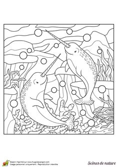 Narwhal and jelly ideas narwhal book activities storytime crafts