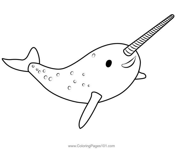 Boris the narwhal octonauts coloring page octonauts coloring pages for kids the narwhal