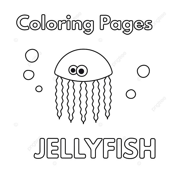 Cartoon jellyfish coloring book preschool picture little vector preschool picture little png and vector with transparent background for free download
