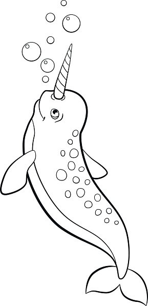 Coloring pages little cute narwhal swims stock clipart royalty