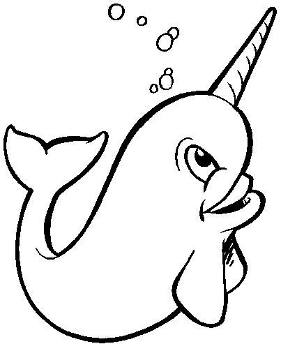 Narwhal clipart x clipart panda
