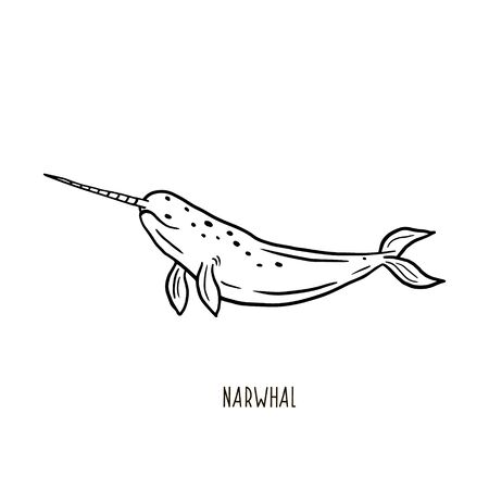 Narwhal coloring page cliparts stock vector and royalty free narwhal coloring page illustrations