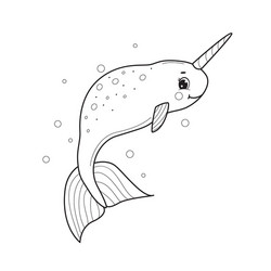 Narwhal coloring pages vector images over