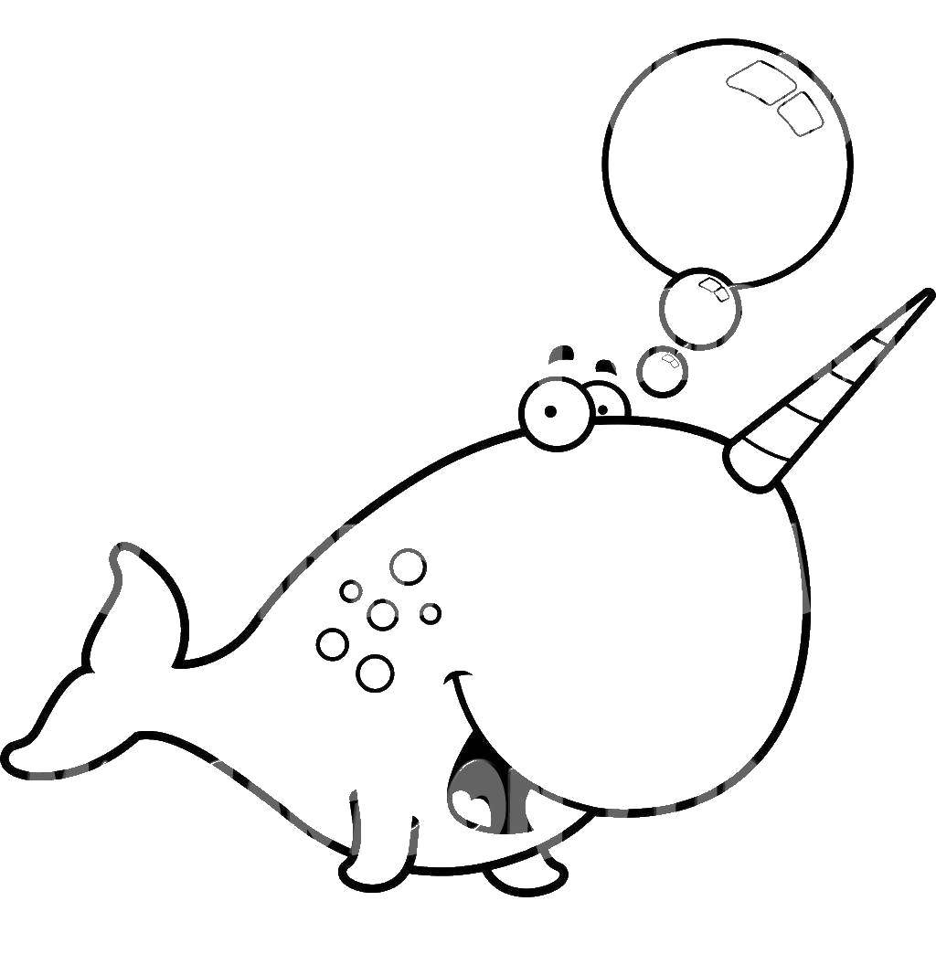 Online coloring pages coloring page narwhal sea download print coloring page
