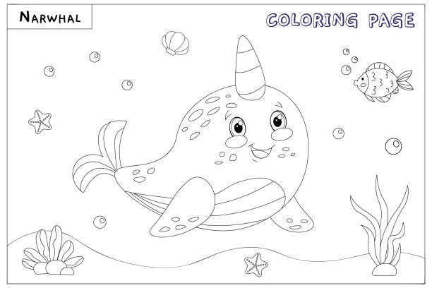 Drawing of the narwhal coloring pages stock illustrations royalty