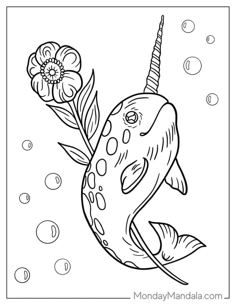 Narwhal coloring pages free pdf printables