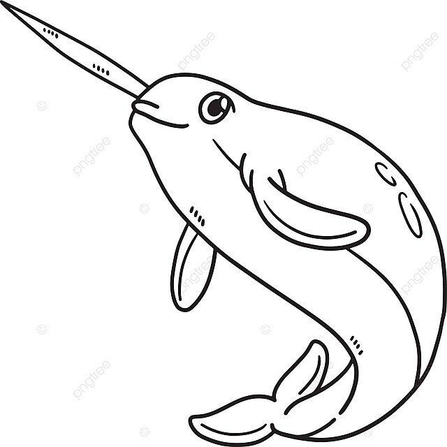 Narwhal isolated coloring page for kids cute water book vector cute water book png and vector with transparent background for free download