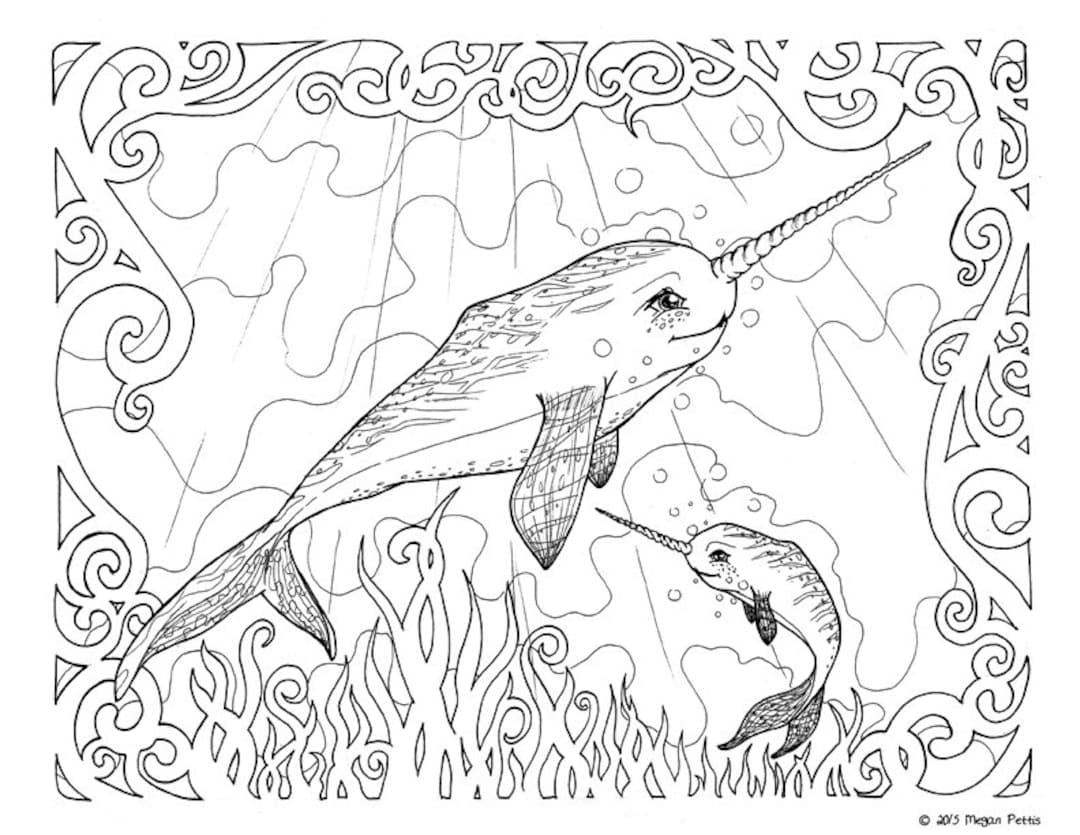 Narwhal family adult coloring book page whale unicorn instant download digital file under sea fantasy coloring page print and color download now