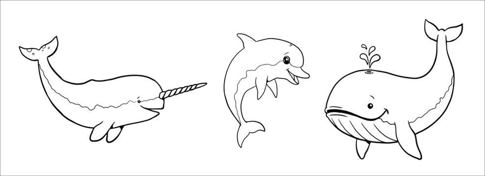 Cute narwhal whale and dolphin to color in vector template for a coloring book with funny animals coloring template for kids vector