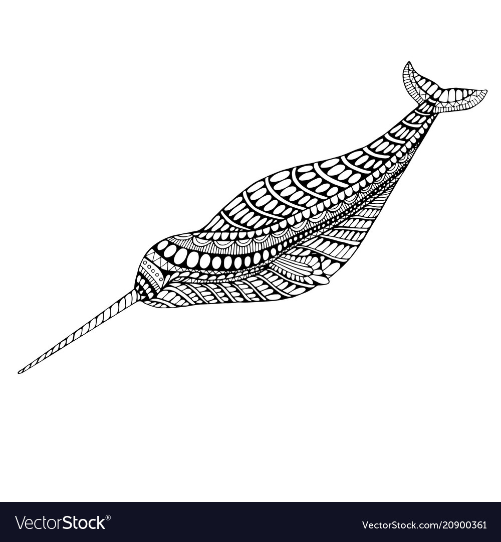 Coloring page narwhal royalty free vector image