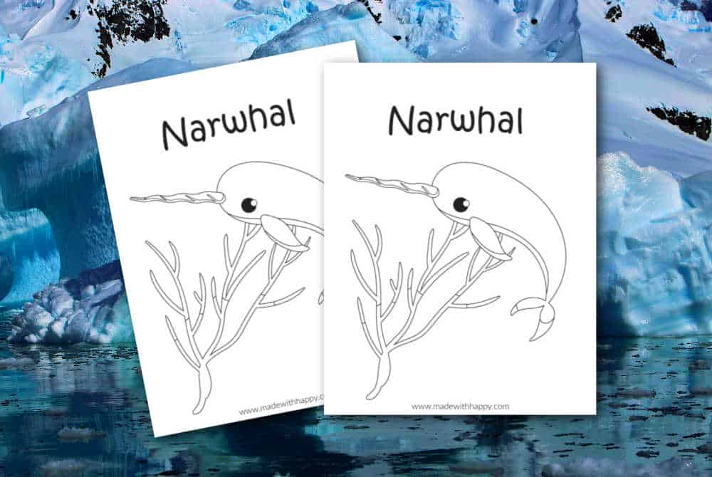 Free printable narwhal coloring page