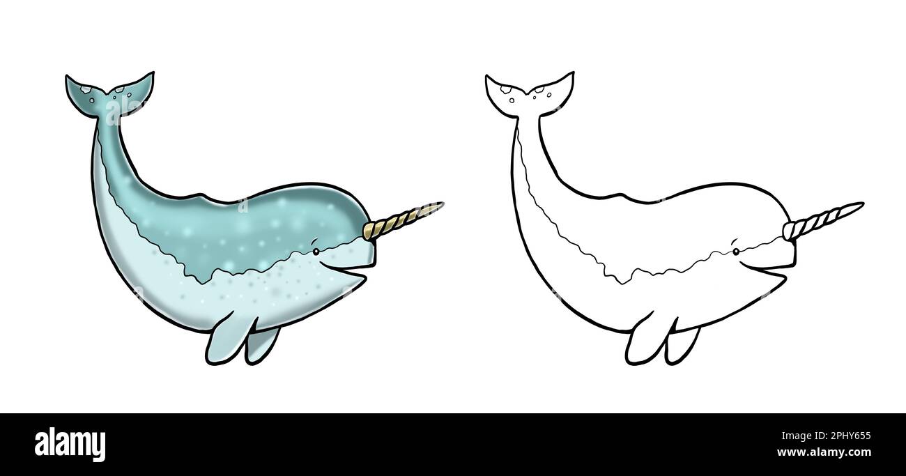 Cute narwhal for coloring template for a coloring book with funny animals colouring page for kids stock photo
