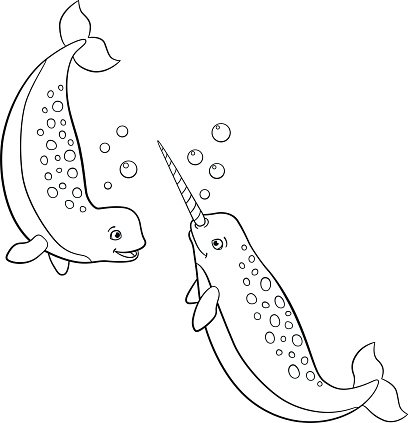 Coloring pages two little cute narwhals swim stock clipart royalty