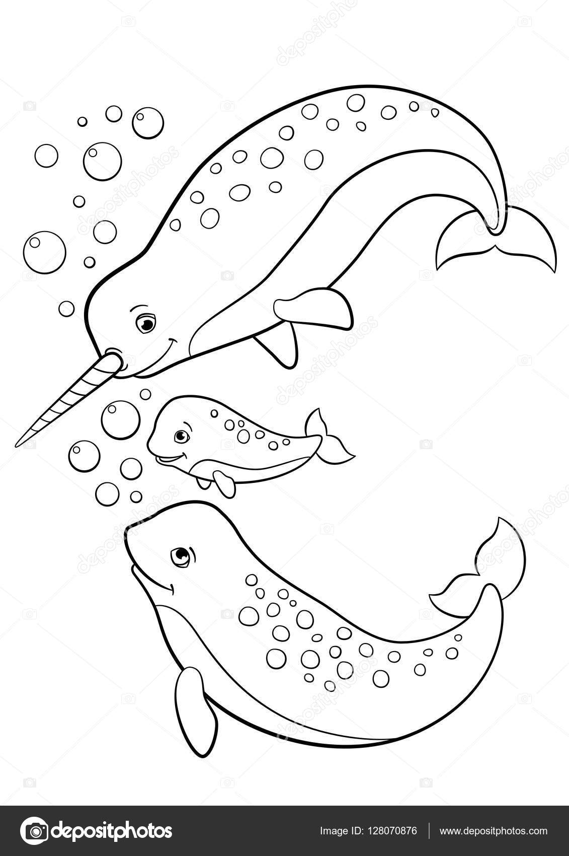 Coloring pages mother father and baby narwhals stock vector by ya