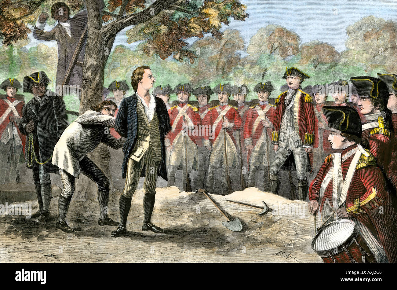 Nathan hale hi