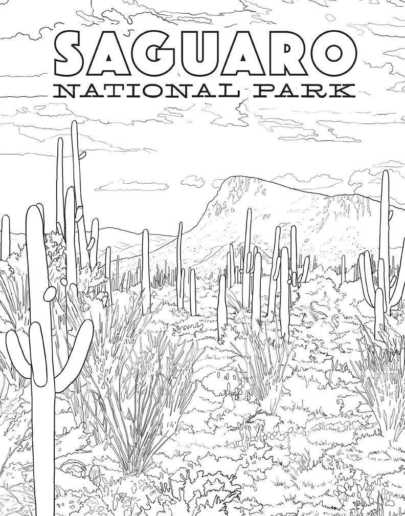 The national parks poster coloring book vmfa shop