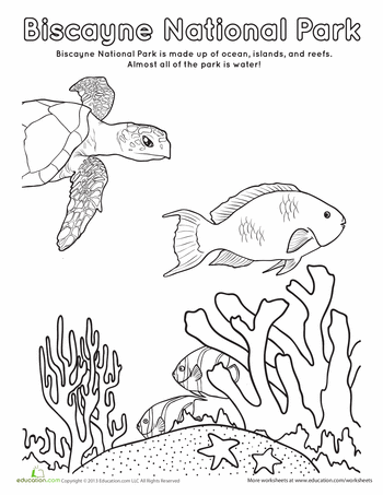 Biscayne national park education national parks beach coloring pages coloring pages