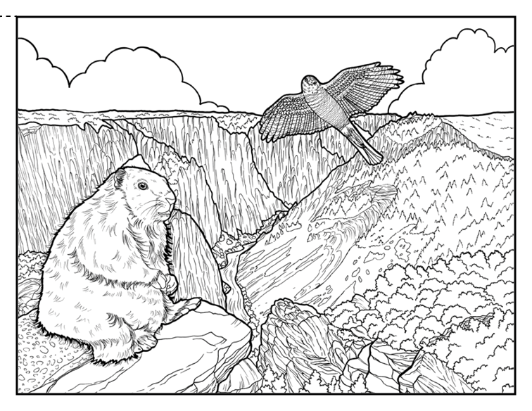 National park coloring book â