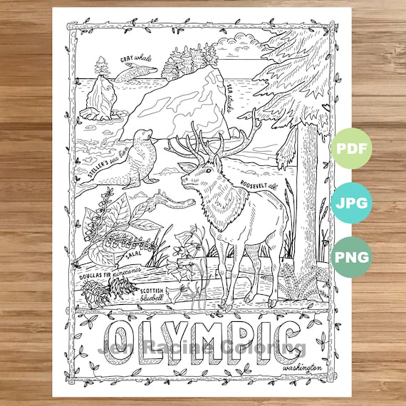National park coloring page olympic washington national park landscape animal plant wildflower coloring page printable