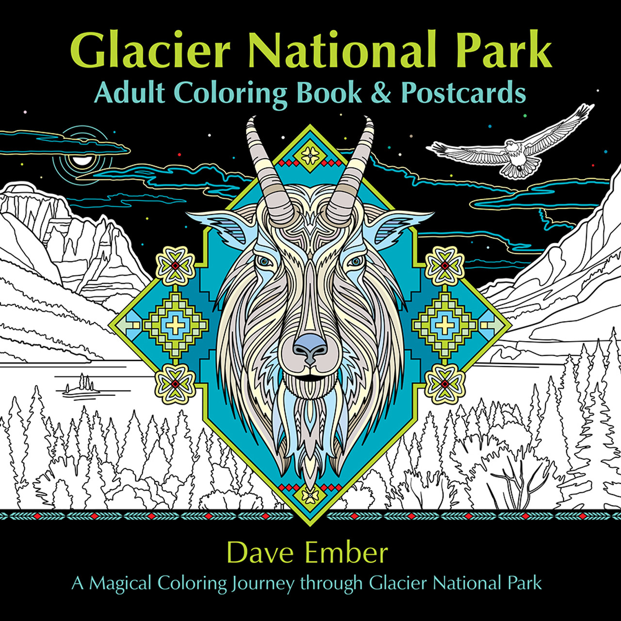 Adult coloring book