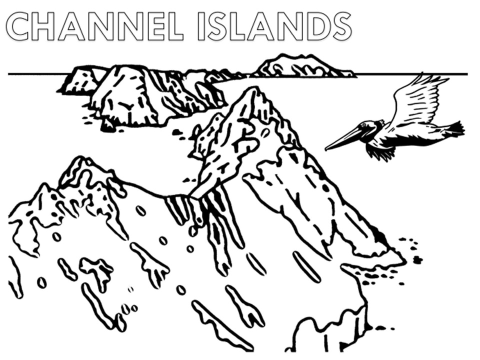 We released our new national parks coloring book raven about the parks raven about the forests