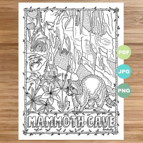 National park coloring page mammoth cave kentucky national park landscape animal plant wildflower coloring page printable