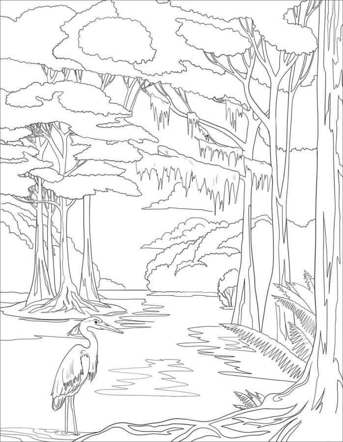 Heron in the forest coloring page